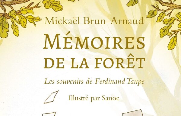 Mickaël Brun-Arnaud : Mémoires de la forêt - Les souvenirs de Ferdinand  Taupe
